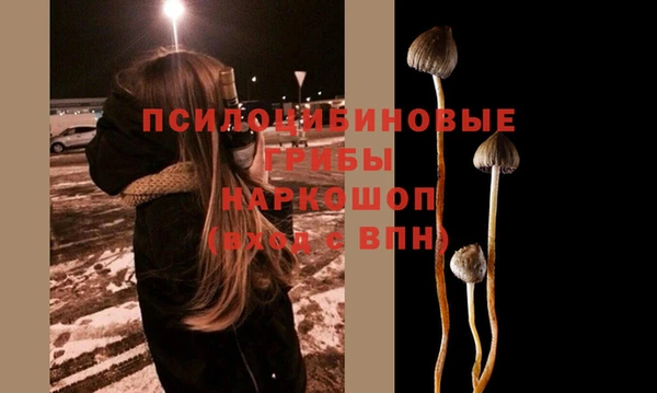 крисы Абинск