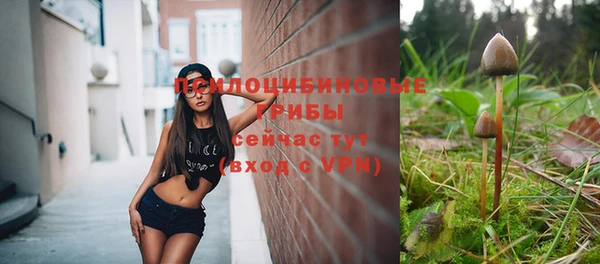 spice Арсеньев