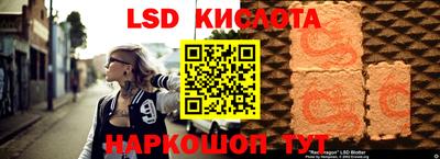 a pvp Краснознаменск