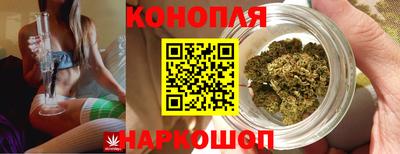 крисы Краснодар