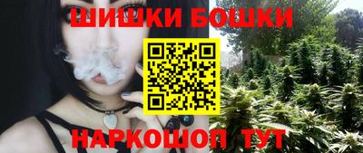 крисы Краснодар