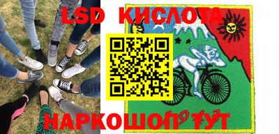 крисы Краснодар