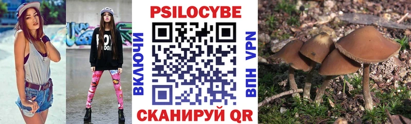 наркотики  Златоуст  darknet формула  Псилоцибиновые грибы Magic Shrooms 