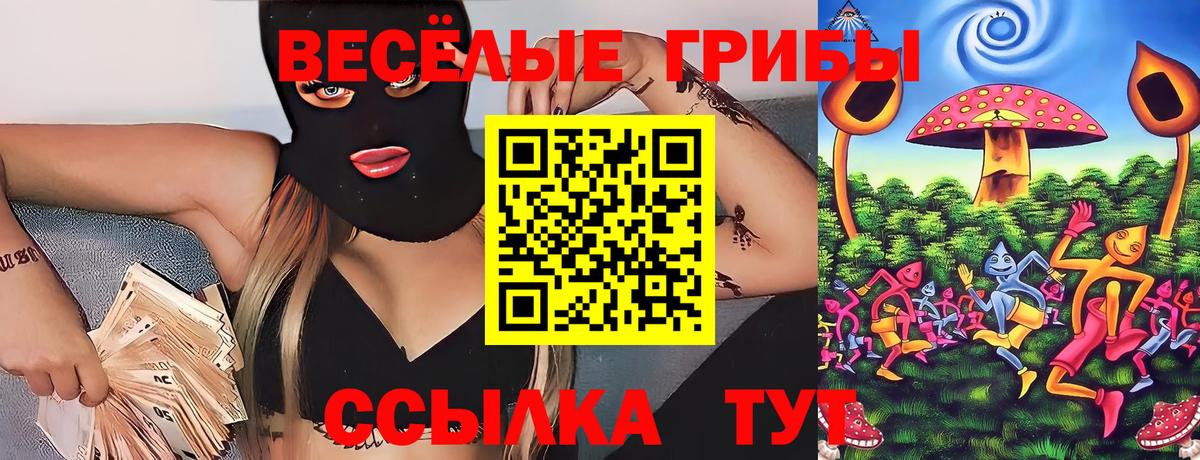 Златоуст  Псилоцибиновые грибы Magic Shrooms  Вход с VPN 